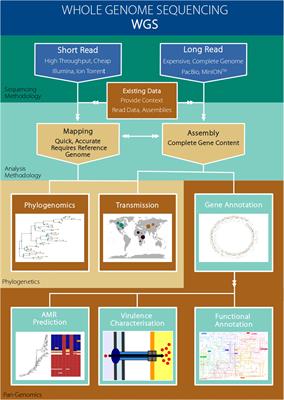 The Promise of Whole Genome Pathogen Sequencing for the Molecular Epidemiology of Emerging Aquaculture Pathogens